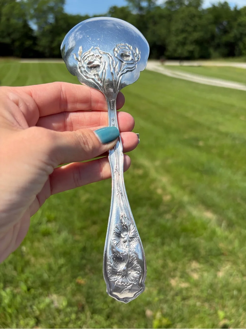 WR Keystone Oneida Silverplate Carnation 8.75 Inch‎ Solid Smooth Casserole Spoon